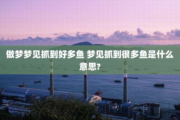 做梦梦见抓到好多鱼 梦见抓到很多鱼是什么意思?