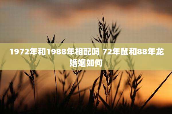 1972年和1988年相配吗 72年鼠和88年龙婚姻如何