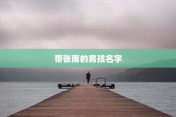 带张雨的男孩名字
