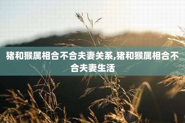 猪和猴属相合不合夫妻关系,猪和猴属相合不合夫妻生活