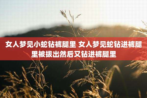 女人梦见小蛇钻裤腿里 女人梦见蛇钻进裤腿里被拔出然后又钻进裤腿里
