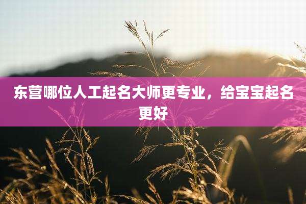 东营哪位人工起名大师更专业,给宝宝起名更好