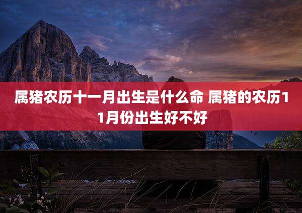 属猪农历十一月出生是什么命 属猪的农历11月份出生好不好