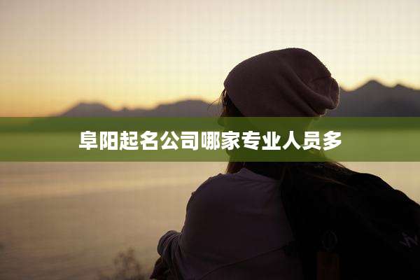 阜阳起名公司哪家专业人员多
