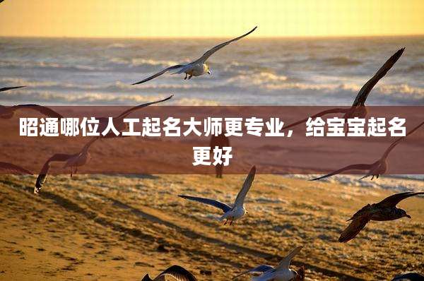 昭通哪位人工起名大师更专业,给宝宝起名更好