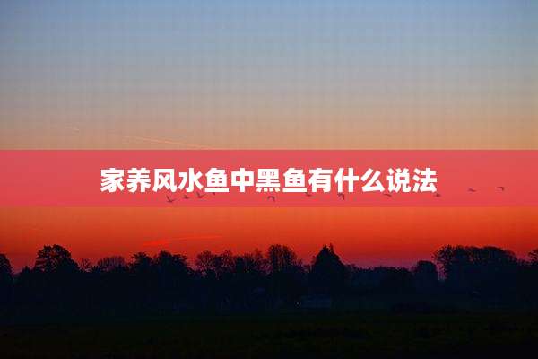 家养风水鱼中黑鱼有什么说法