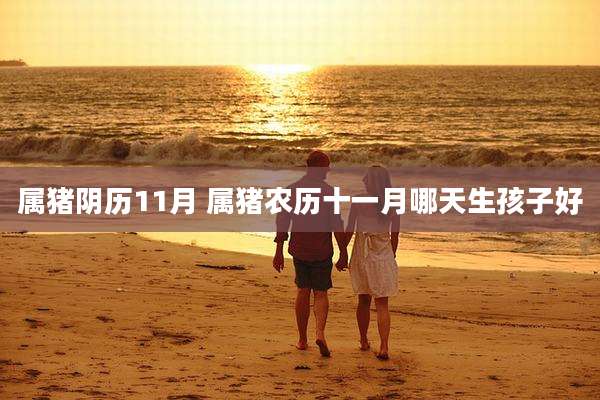 属猪阴历11月 属猪农历十一月哪天生孩子好