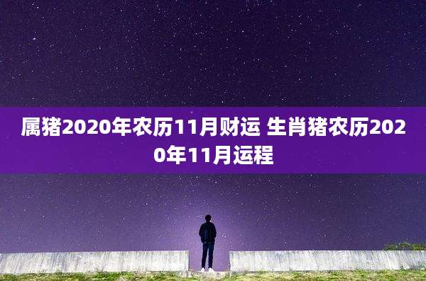 属猪2020年农历11月财运 生肖猪农历2020年11月运程