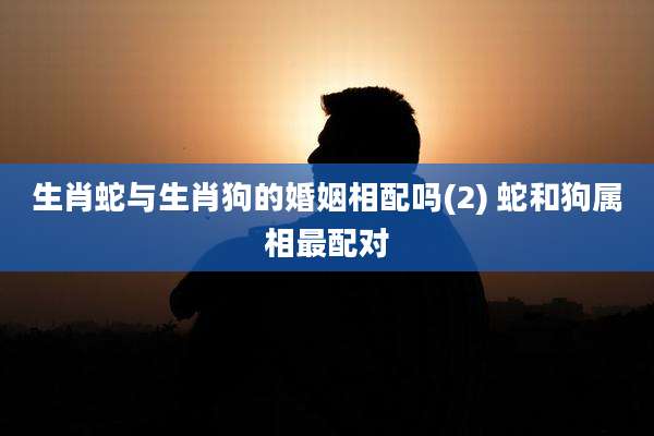 生肖蛇与生肖狗的婚姻相配吗(2) 蛇和狗属相最配对