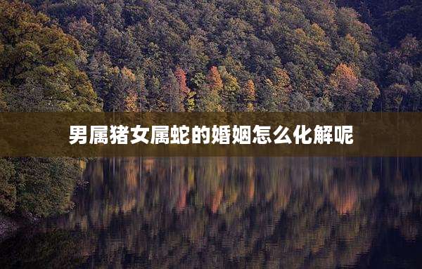 男属猪女属蛇的婚姻怎么化解呢