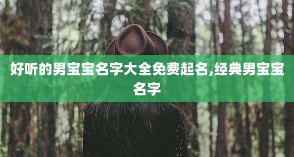 好听的男宝宝名字大全免费起名,经典男宝宝名字