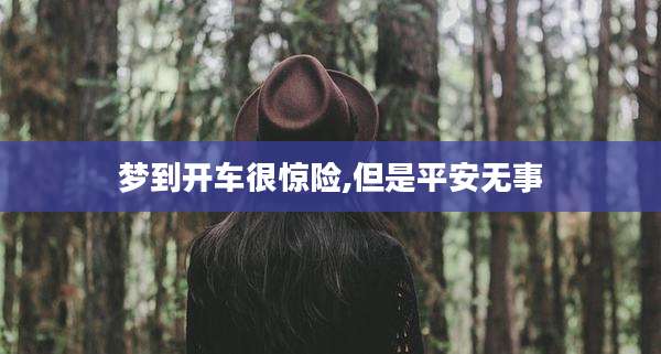 梦到开车很惊险,但是平安无事
