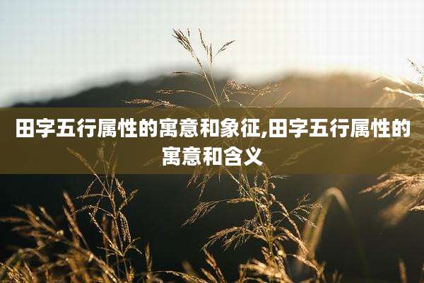 田字五行属性的寓意和象征,田字五行属性的寓意和含义