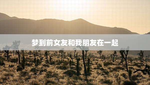 梦到前女友和我朋友在一起