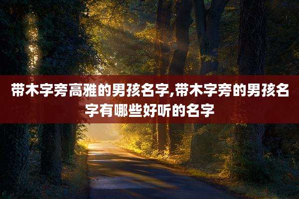 带木字旁高雅的男孩名字,带木字旁的男孩名字有哪些好听的名字