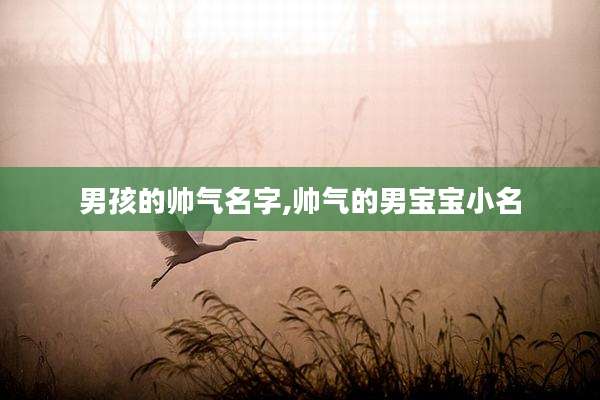 男孩的帅气名字,帅气的男宝宝小名