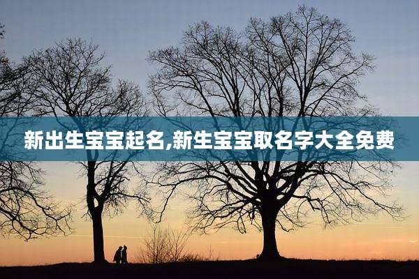 新出生宝宝起名,新生宝宝取名字大全免费