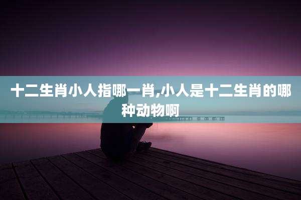 十二生肖小人指哪一肖,小人是十二生肖的哪种动物啊