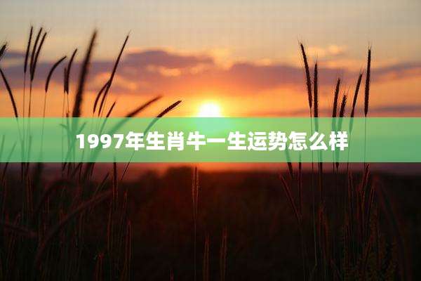 1997年生肖牛一生运势怎么样