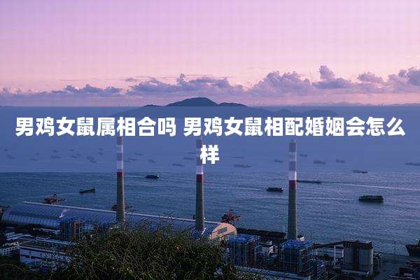 男鸡女鼠属相合吗 男鸡女鼠相配婚姻会怎么样
