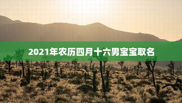 2021年农历四月十六男宝宝取名