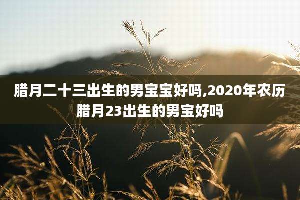 腊月二十三出生的男宝宝好吗,2020年农历腊月23出生的男宝好吗