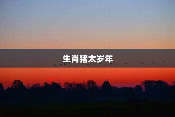 生肖猪太岁年