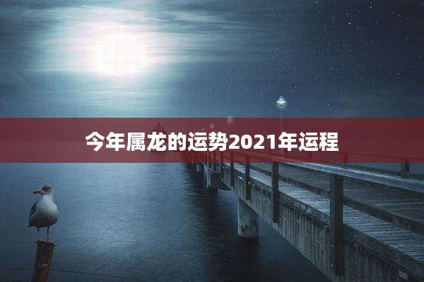 今年属龙的运势2021年运程