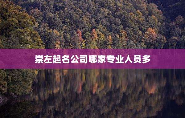 崇左起名公司哪家专业人员多