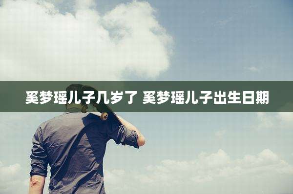 奚梦瑶儿子几岁了 奚梦瑶儿子出生日期