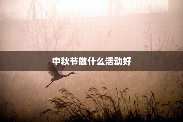 中秋节做什么活动好