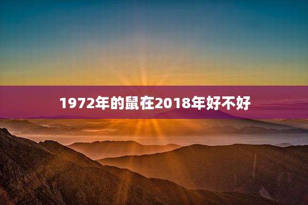 1972年的鼠在2018年好不好
