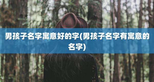 男孩子名字寓意好的字(男孩子名字有寓意的名字)