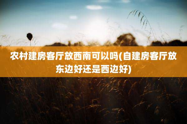 农村建房客厅放西南可以吗(自建房客厅放东边好还是西边好)