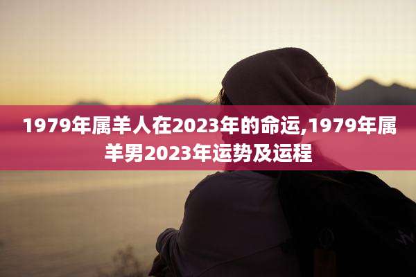 1979年属羊人在2023年的命运,1979年属羊男2023年运势及运程