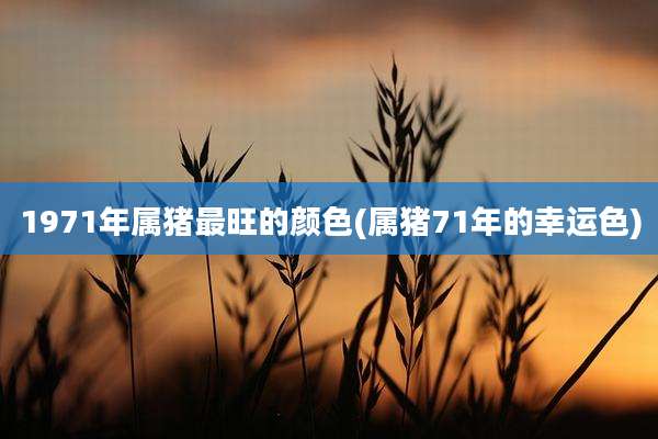 1971年属猪最旺的颜色(属猪71年的幸运色)