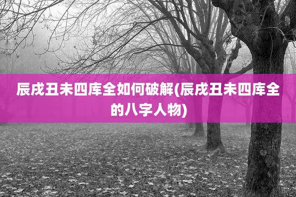 辰戌丑未四库全如何破解(辰戌丑未四库全的八字人物)