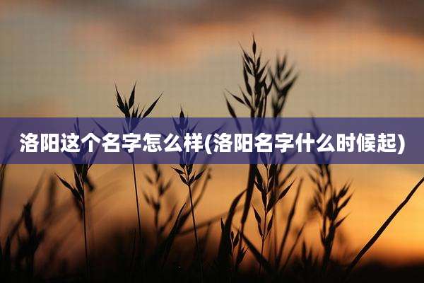 洛阳这个名字怎么样(洛阳名字什么时候起)