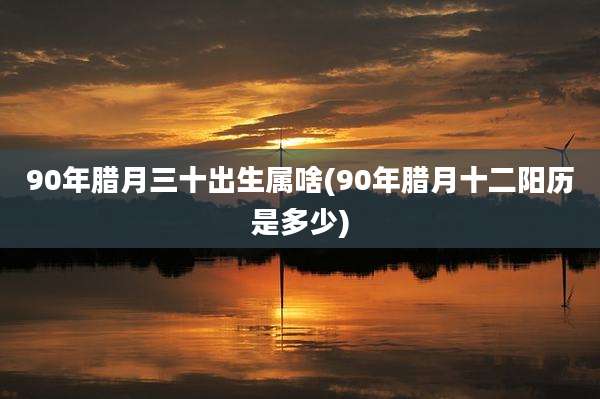 90年腊月三十出生属啥(90年腊月十二阳历是多少)