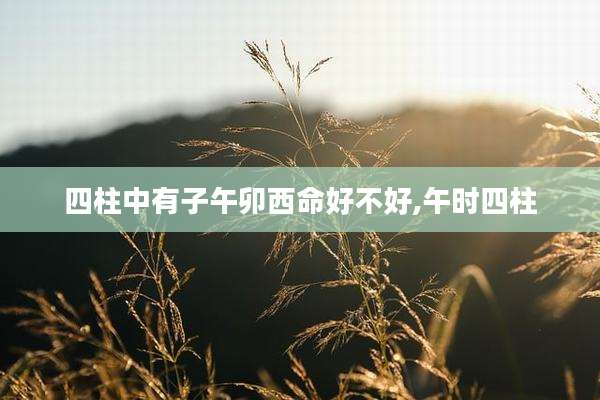 四柱中有子午卯西命好不好,午时四柱