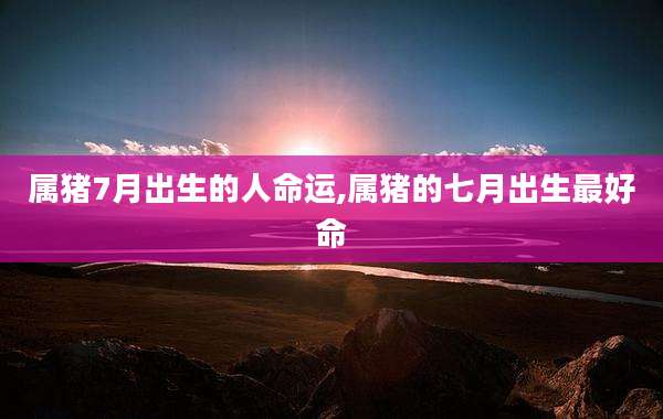 属猪7月出生的人命运,属猪的七月出生最好命