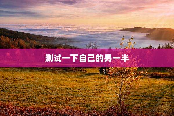 测试一下自己的另一半