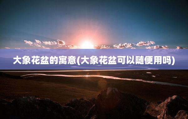 大象花盆的寓意(大象花盆可以随便用吗)