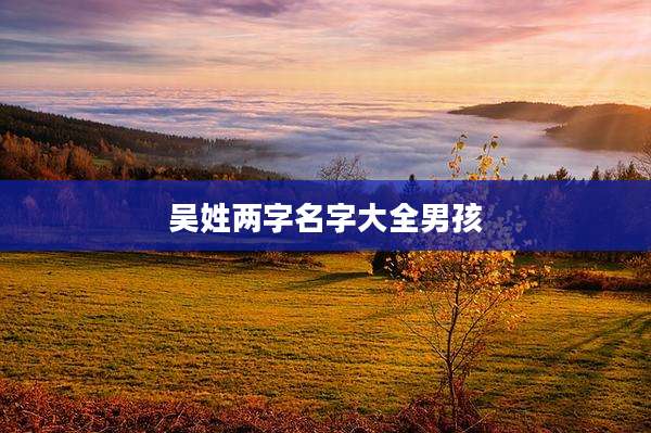 吴姓两字名字大全男孩