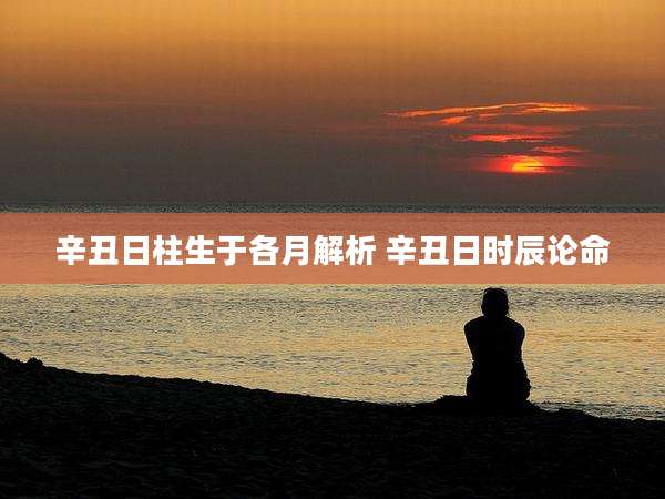辛丑日柱生于各月解析 辛丑日时辰论命
