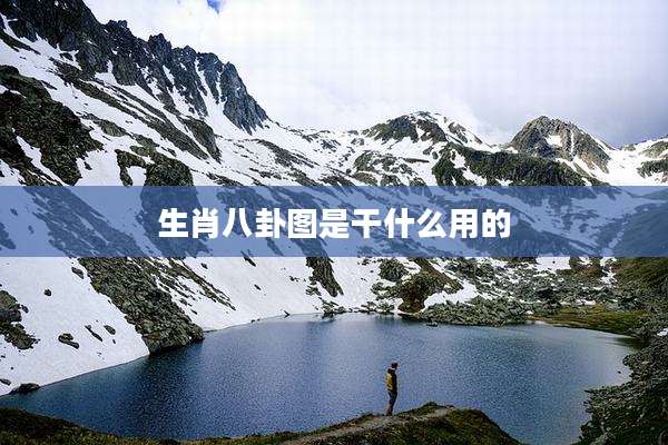 生肖八卦图是干什么用的