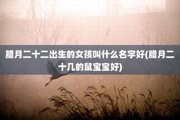 腊月二十二出生的女孩叫什么名字好(腊月二十几的鼠宝宝好)