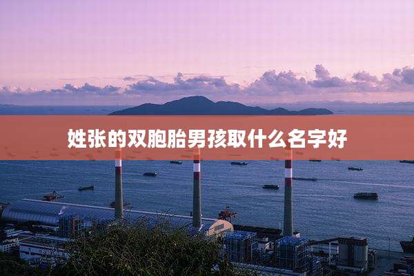 姓张的双胞胎男孩取什么名字好
