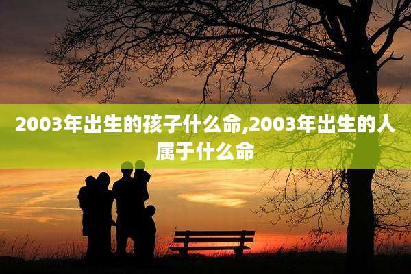 2003年出生的孩子什么命,2003年出生的人属于什么命