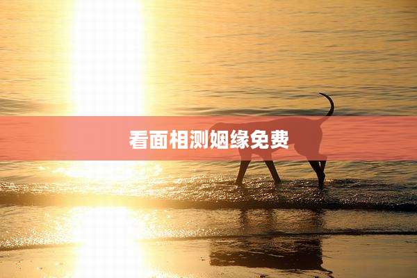 看面相测姻缘免费